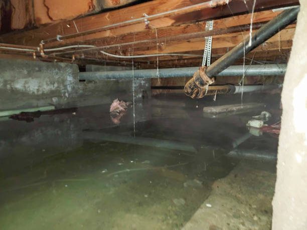Best Water damage restoration experts  in Fort Clark Springs, TX