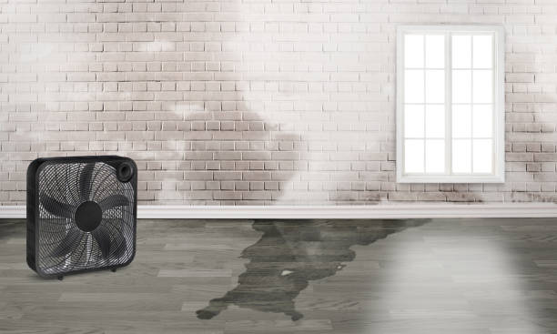 Best Water damage contractors near me  in Fort Clark Springs, TX